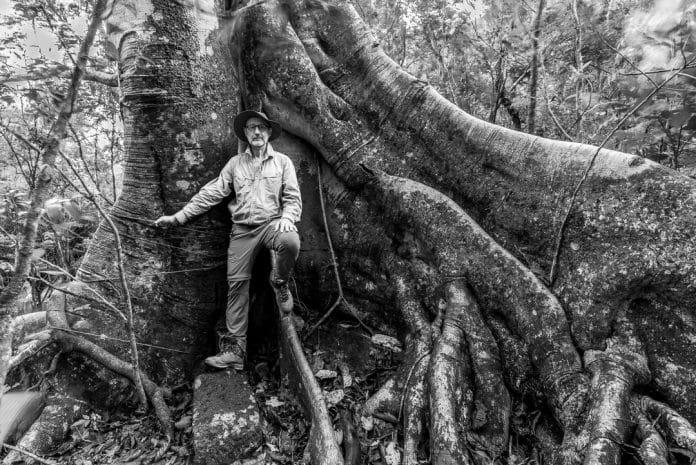 Fotografia contemplativa da natureza