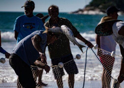 Governo de SC contesta Portaria que impõe cotas para pesca da tainha