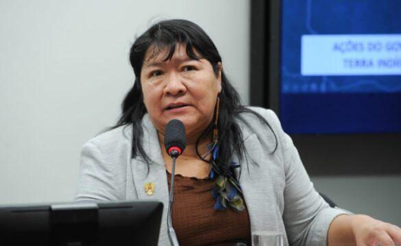 Presidente da Funai Joenia Wapichana em debate na Câmara