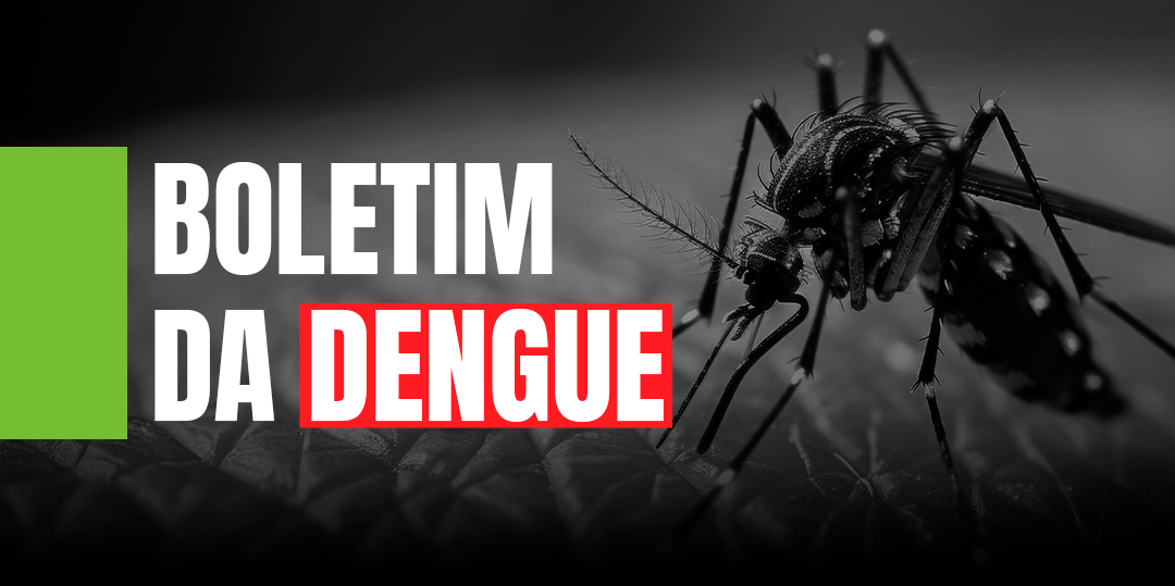 Mosquito Aedes aegypti