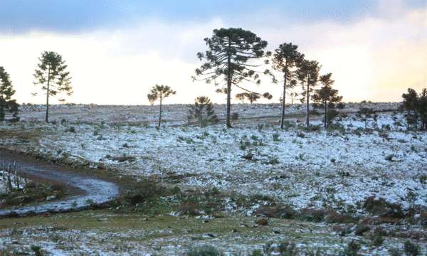 Possibilidade de neve em SC