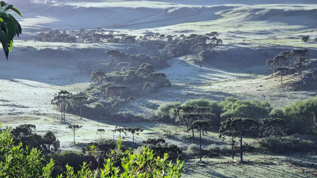 Previsão de neve em Santa Catarina com frio intenso
