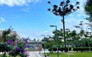 Estudantes na UFSC