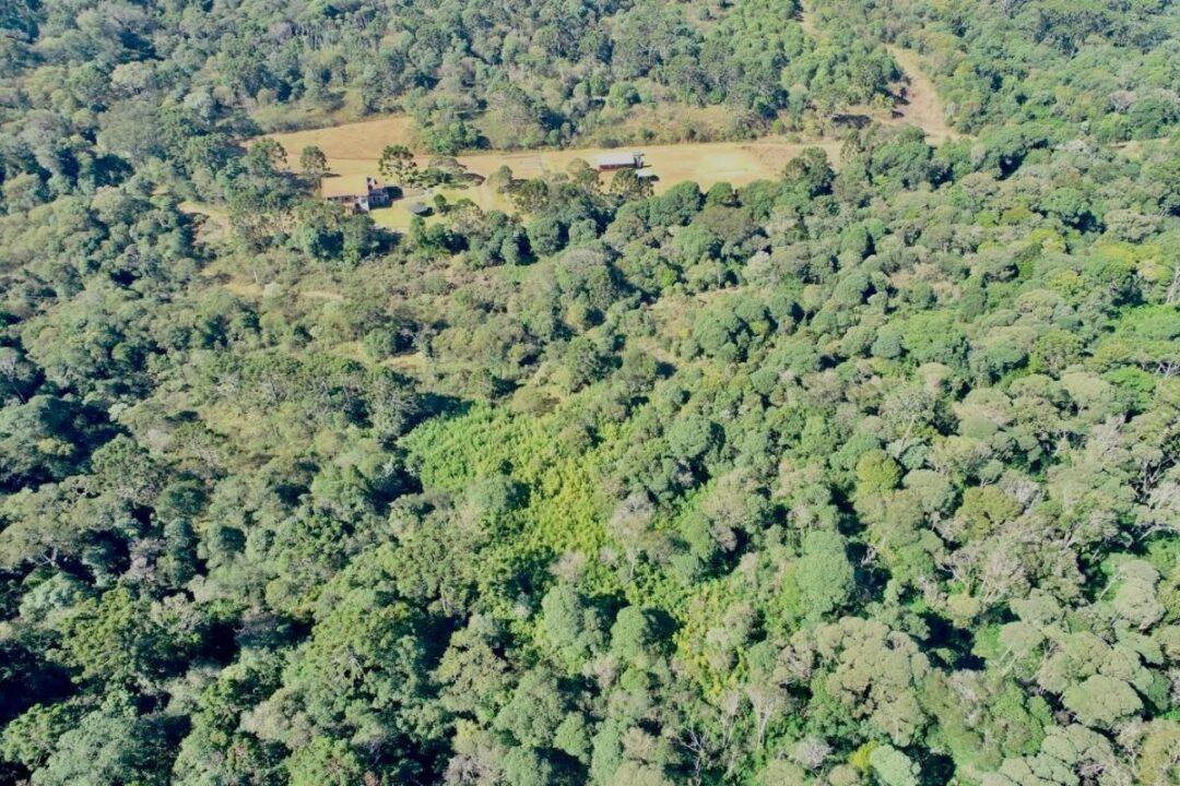 Parque Estadual das Araucárias - conservação ambiental