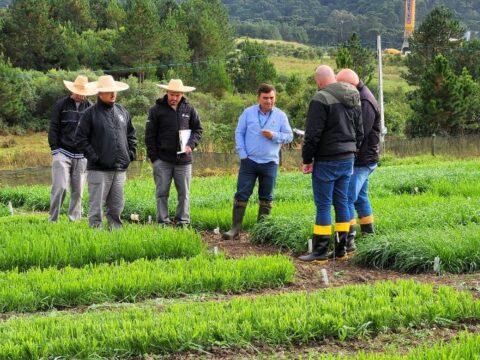 Pastagens resistentes ao frio na Epagri em Lages