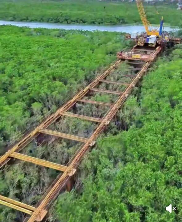 Ponte Joinville - Avanço da Obra na Região do Mangue