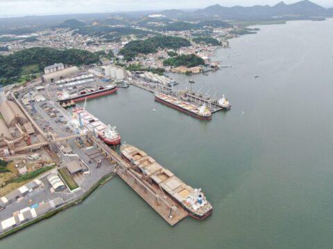 Porto de São Francisco do Sul - Movimentação de Cargas