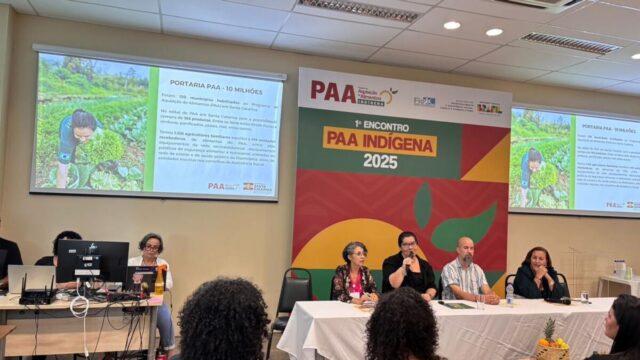 Agricultores trabalhando em plantação de alimentos