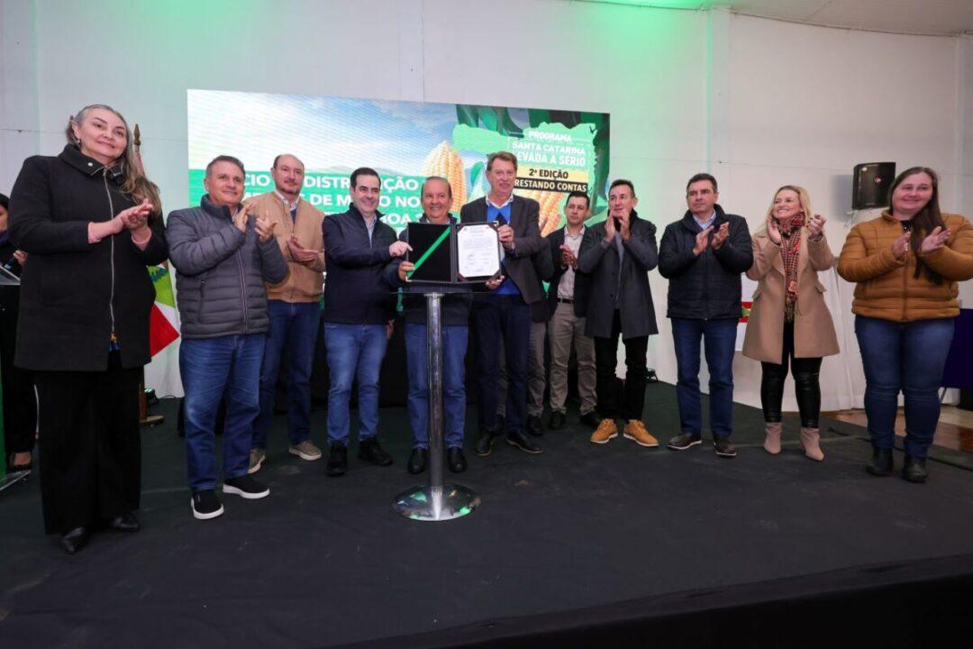 Sementes de milho de alta qualidade
