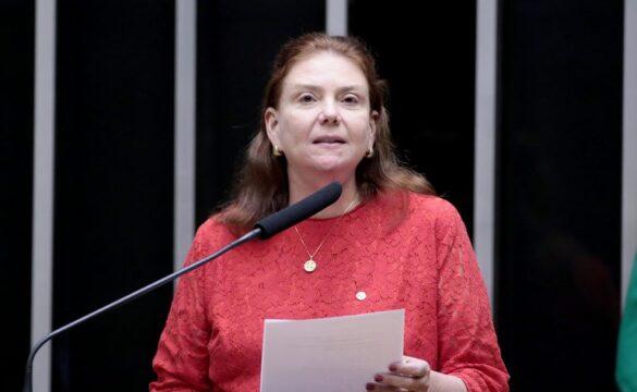 Imagem ilustrativa sobre o projeto de lei de inclusão educacional