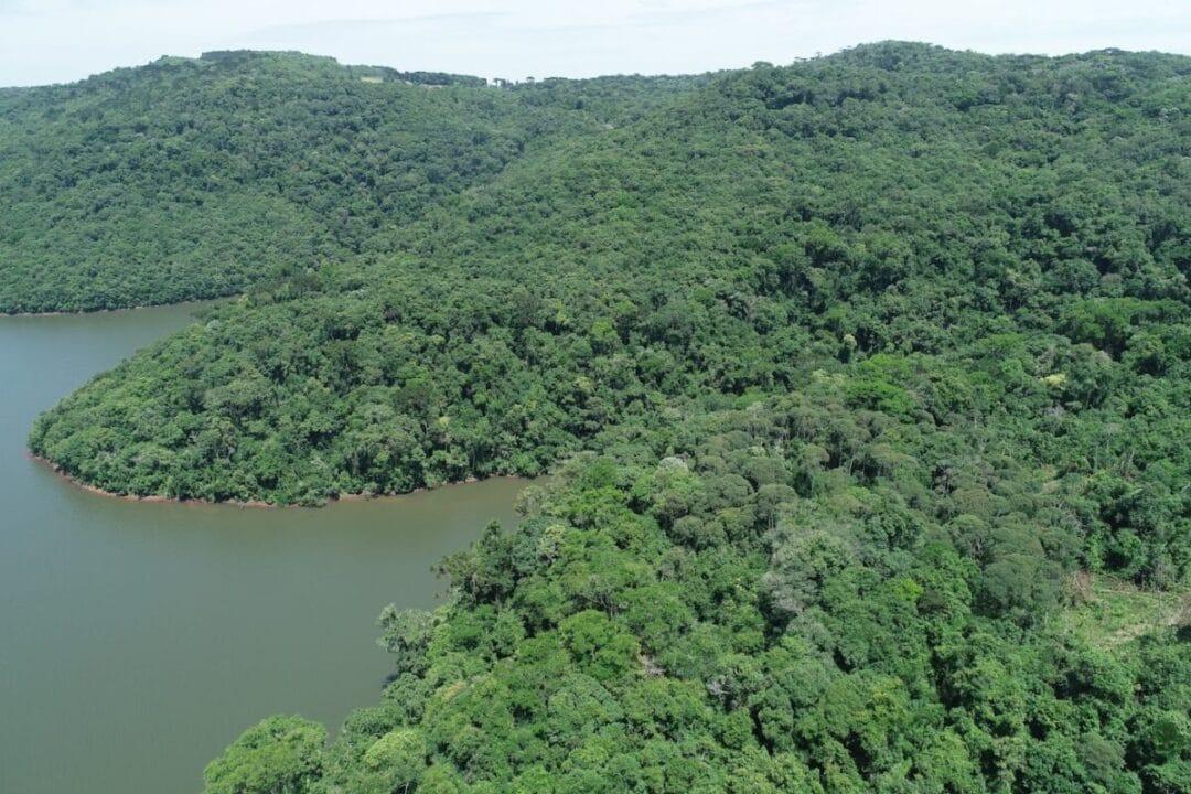 Desmatamento da Mata Atlântica em Santa Catarina