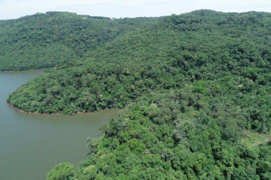 Desmatamento da Mata Atlântica em Santa Catarina