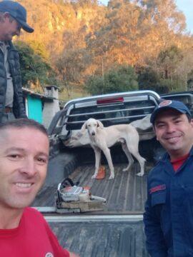 Cão sendo resgatado em penhasco