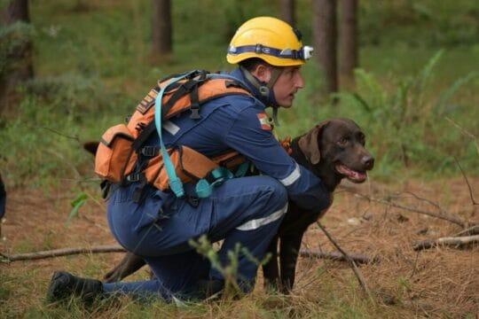 Sargento Matheus Premoli e seu cão de busca Bono do Corpo de Bombeiros Militar de Santa Catarina