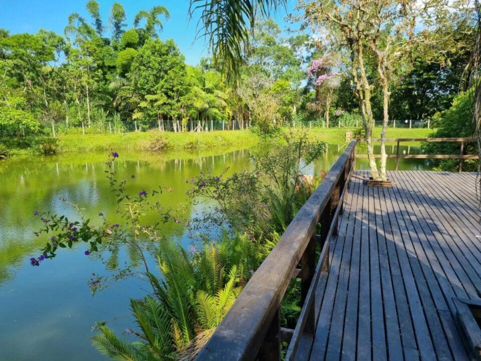 Programação Semana do Meio Ambiente