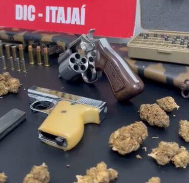 Estufa de skunk e armas apreendidas pela Polícia Civil de SC