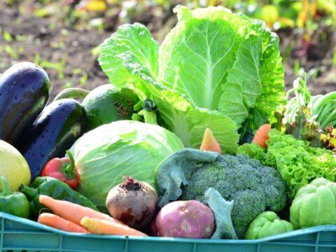 Imagem ilustrativa de transferência de alimentos em Santa Catarina