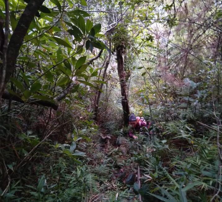 Bombeiros em operação de resgate em trilhas