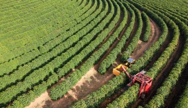 Café brasileiro de alta qualidade