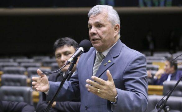 Aves nativas e exóticas