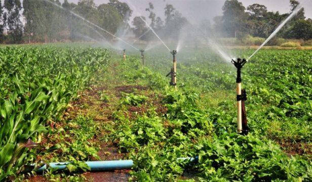 Descontos na conta de energia elétrica para atividades agrícolas