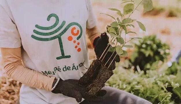 Pequenas Empresas na COP30