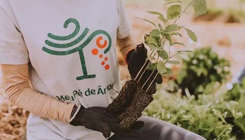 Pequenas Empresas na COP30