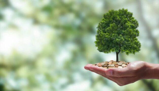 Estande do Sebrae na ABF Expo - Compromisso ambiental