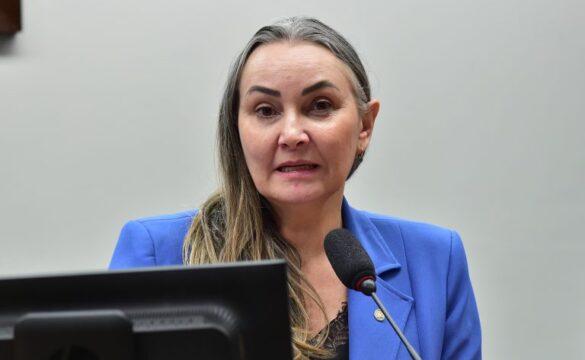 Pesca de arrasto no litoral de Santa Catarina