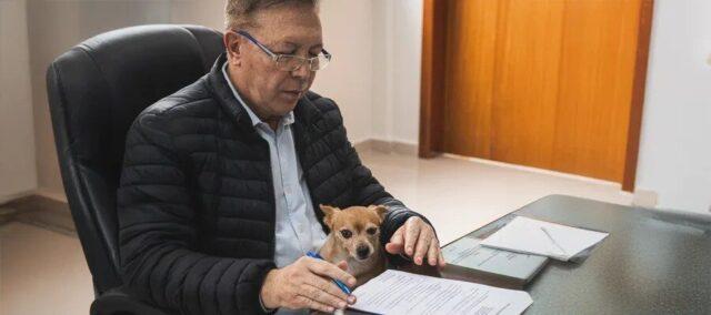 Prefeito Orvino Coelho de Ávila sanciona lei de proteção animal