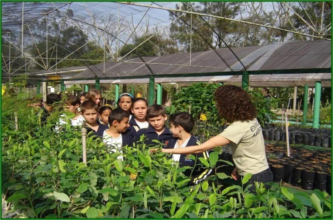Projeto Escola do Meio Ambiente
