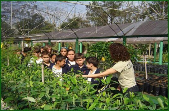 Projeto Escola do Meio Ambiente