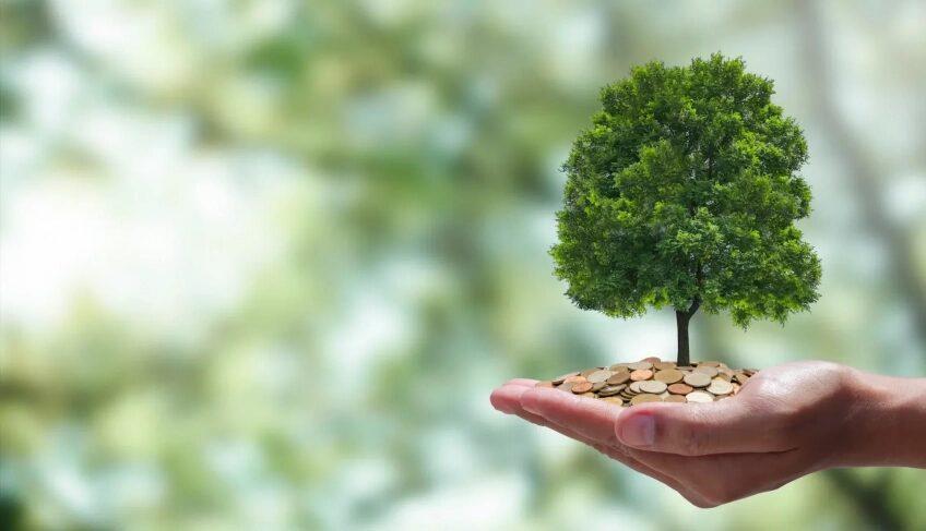 Foto: Áreas de preservação do Pantanal em Mato Grosso do Sul