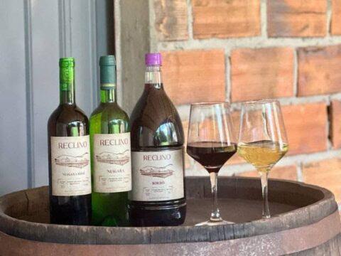 Vinhos Artesanais Catarinenses