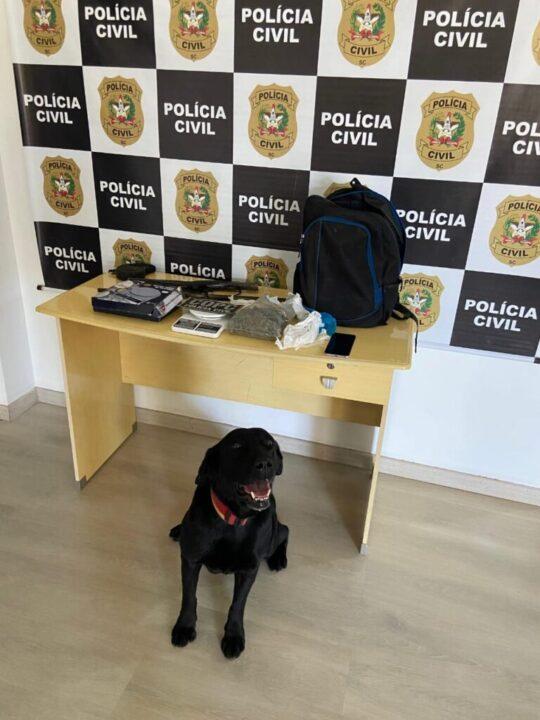 Maconha, balança e celular apreendidos pela Polícia Civil em São Miguel do Oeste