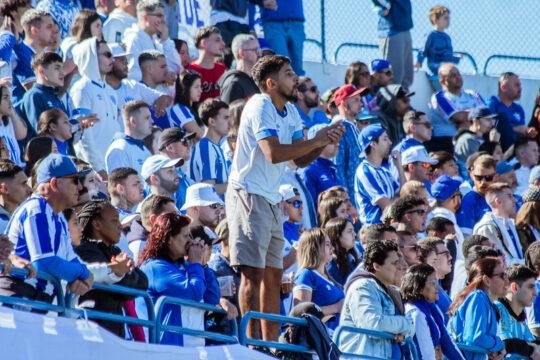 Torcida do Avaí celebrando gol
