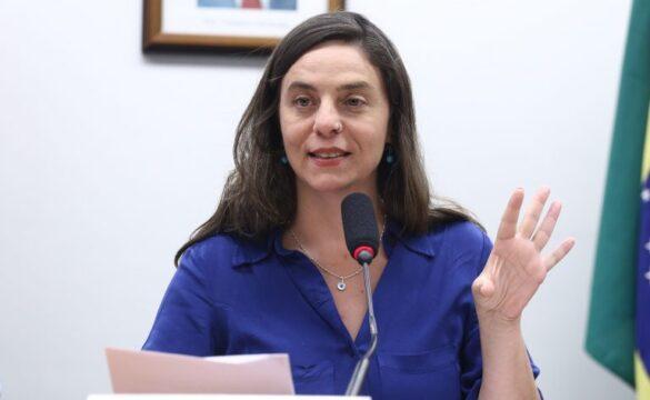 Imagem ilustrativa de bibliotecas escolares no Brasil