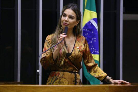 Lei sobre o Dia Nacional do Conselheiro Comunitário de Segurança