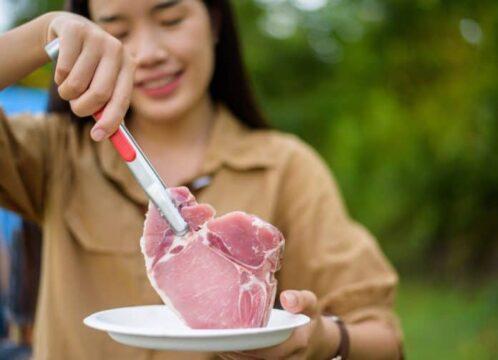 Imagem relacionada ao estudo sobre proteína e obesidade em Santa Catarina