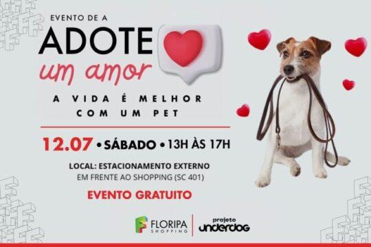 Cães resgatados disponíveis para adoção