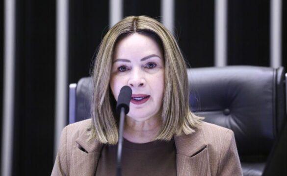 Área com árvores verdejantes sendo destruída por tratores