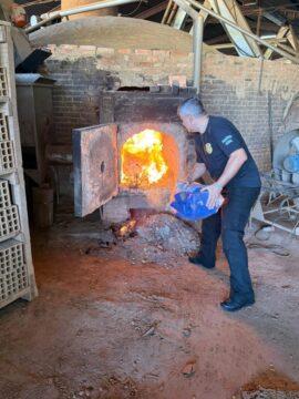Drogas sendo incineradas em operação policial