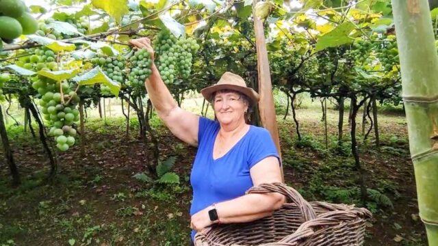 Foto ilustrativa da insegurança alimentar em Santa Catarina