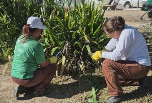 Limpeza e Conservação de Espaços Públicos