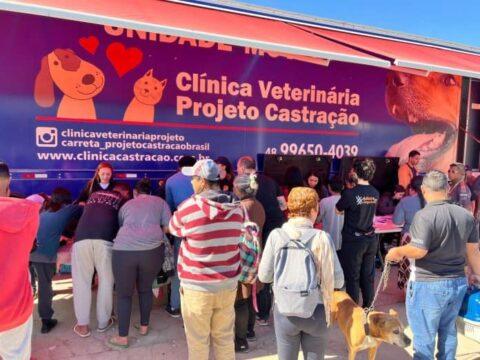 Cães e gatos recebendo castração durante o mutirão na comunidade Frei Damião