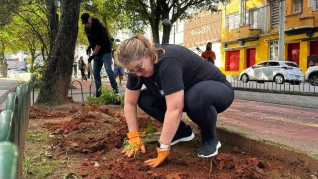 Mudas de flores sendo plantadas ao longo da avenida