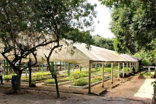 Membros da Comissão Municipal do Meio Ambiente em São José
