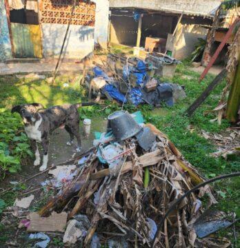 Mulher presa em flagrante por negligenciar cão abandonado