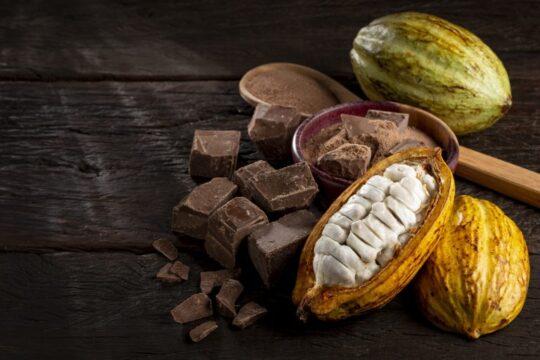 Imagem representativa da produção sustentável de cacau e chocolate no Brasil