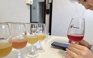 Roda Sensorial para Cervejas Lupuladas